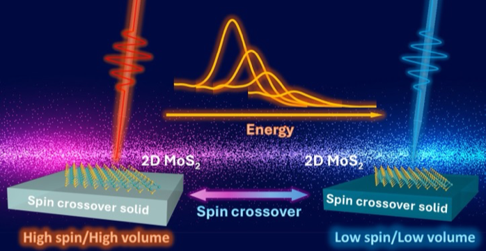 Hybrid Solids and Interfaces