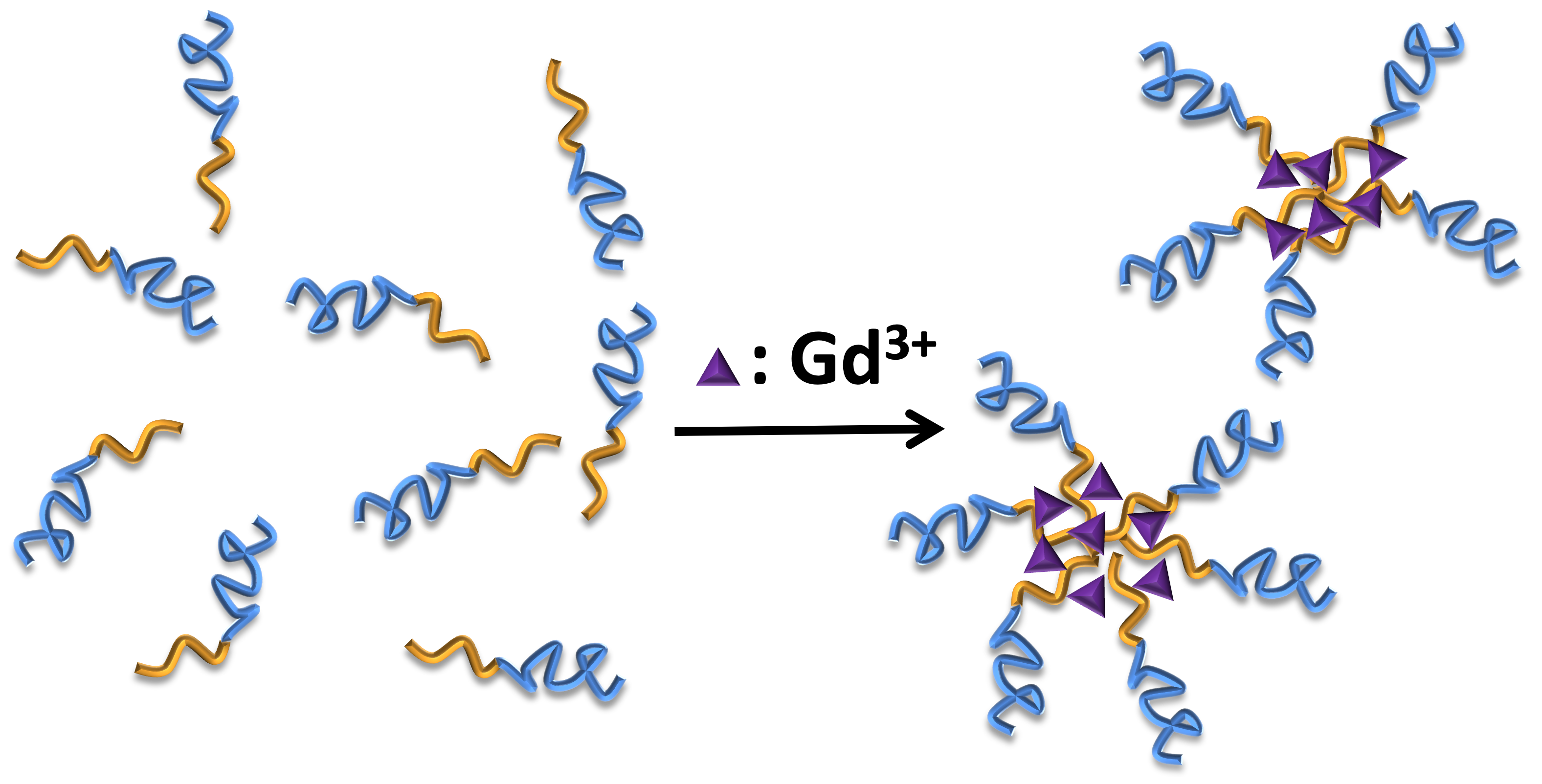 Hybrid Polyion Complexes for Imaging